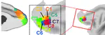 Our new paper is publised on Neuroscience Bulletin!