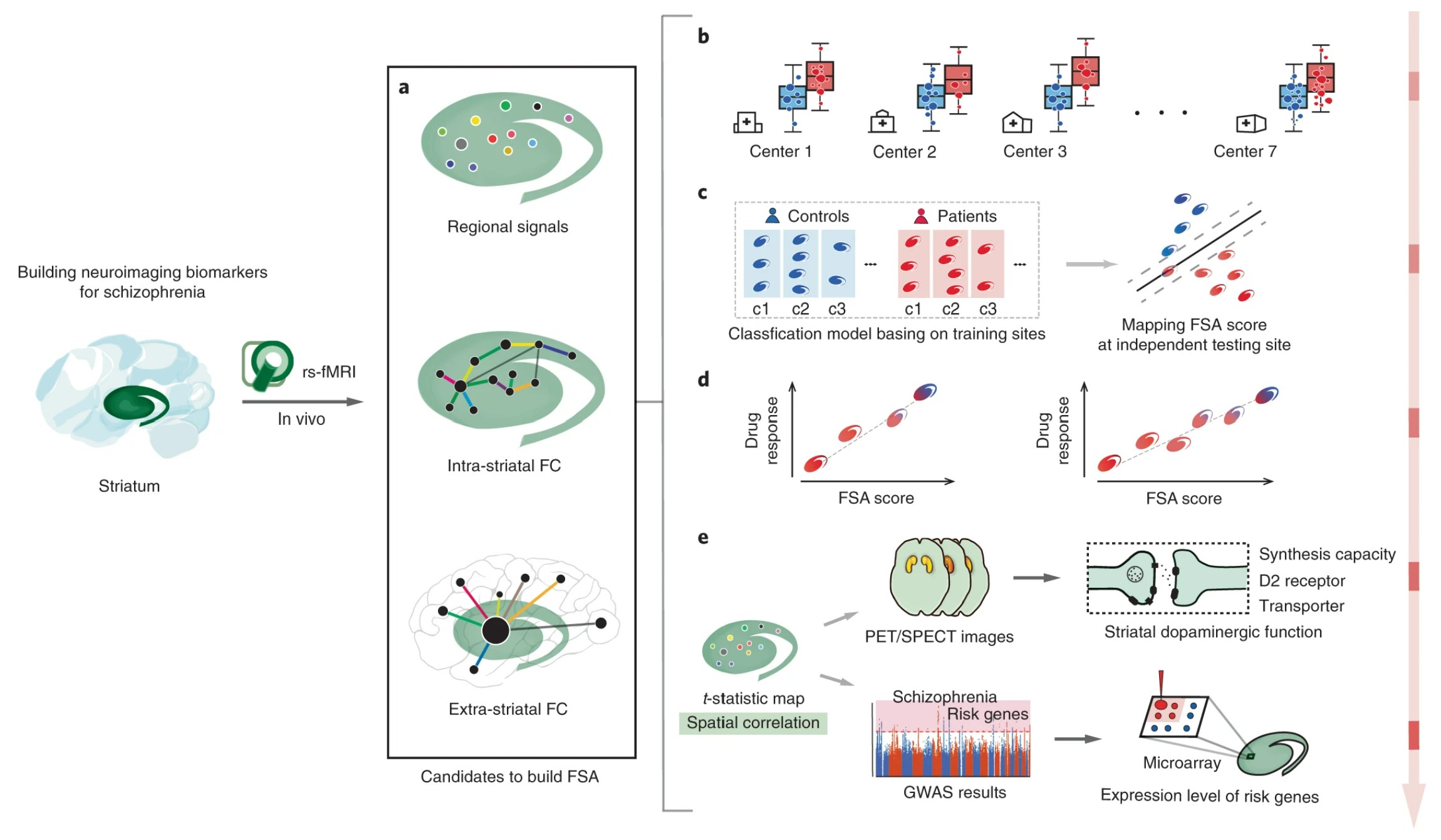 A Neuroimaging Biomarker For Striatal Dysfunction In Schizophrenia ...