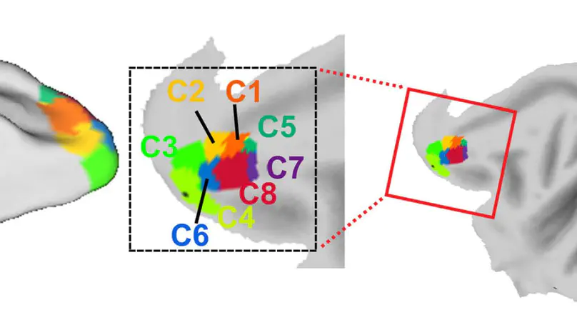 Fine-Grained Topography and Modularity of the Macaque Frontal Pole Cortex Revealed by Anatomical Connectivity Profiles