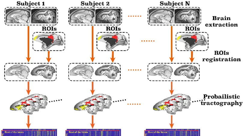 MonkeyCBP: A toolbox for connectivity-based parcellation of monkey brain